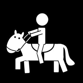 hippotherapie / paardrijden